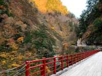 黒部峡谷トロッコ列車