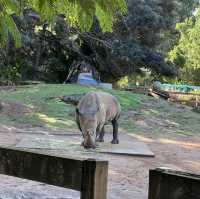 柏斯動物園 地點方便 又可以見到差唔多所有澳洲動物