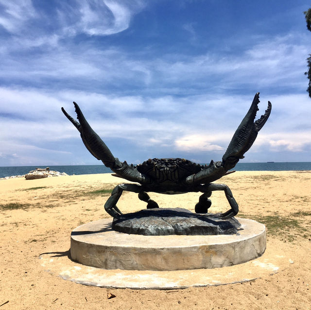 An Artistic Tribute to Marine Life