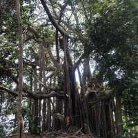 กางเต็นท์ ณ ความสูง 1200m จากระดับน้ำทะเล 🏕️ 