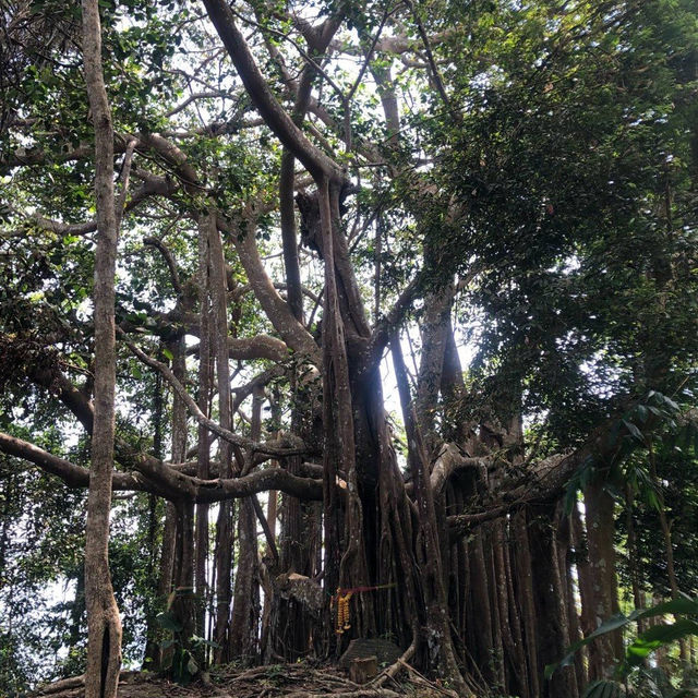 กางเต็นท์ ณ ความสูง 1200m จากระดับน้ำทะเล 🏕️ 