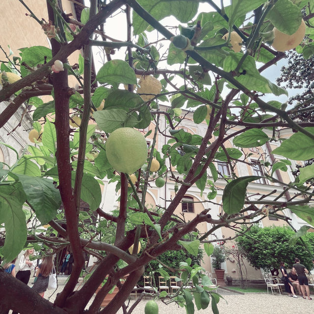 科隆納宮花園：另類賞花體驗