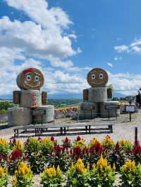 【北海道:富良野】一生に一度は行ってほしい夏の富良野観光！