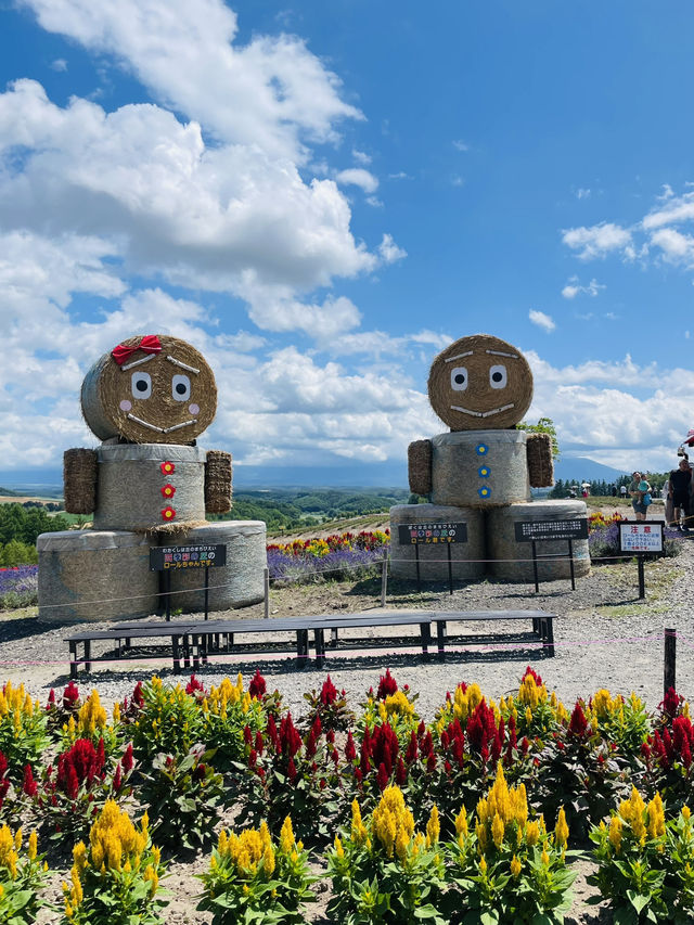 【北海道:富良野】一生に一度は行ってほしい夏の富良野観光！
