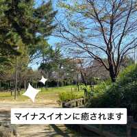 知多半島の旅　明治天皇縁の地　雁宿公園