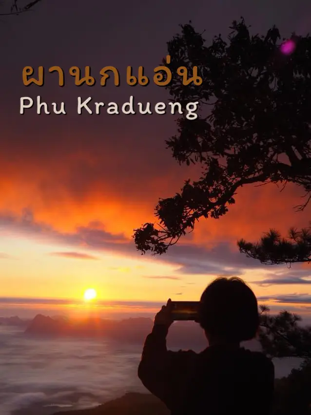 ย้อนเวลาไปผานกแอ่น