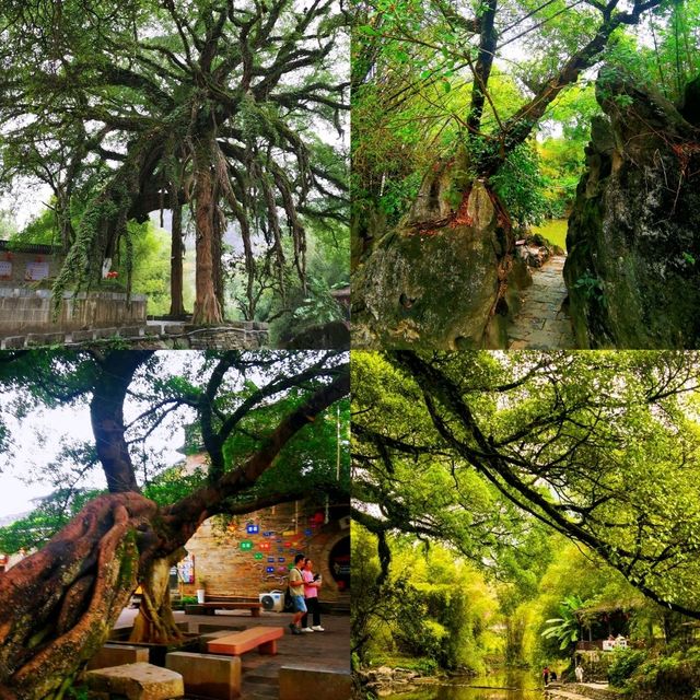 黃姚古鎮
