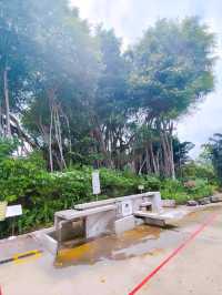 Hidden Gem Sembawang Hot Spring Park