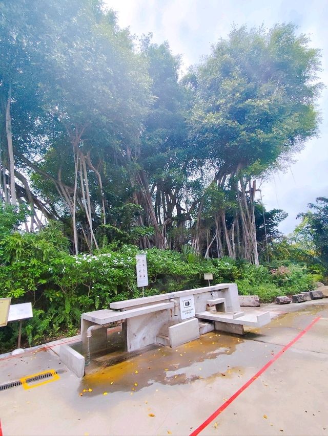 Hidden Gem Sembawang Hot Spring Park
