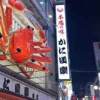 Osaka Travel Tips 