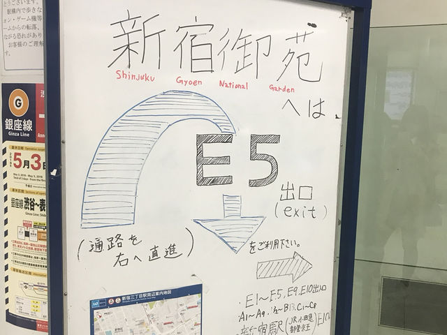 日本🇯🇵東京新宿御苑賞櫻花🌸