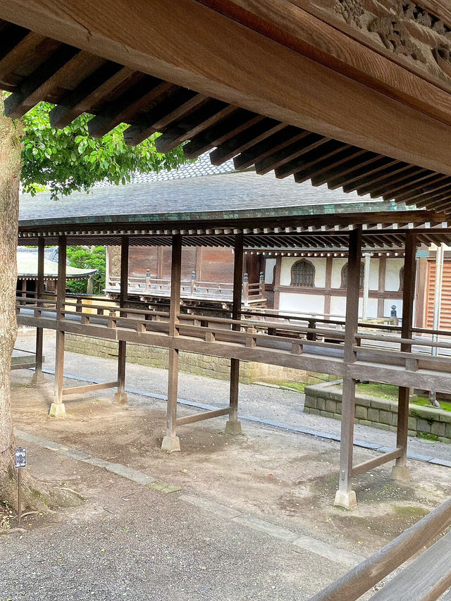東京懷舊之旅——柴又帝釋天的文化與歷史探索🛤️