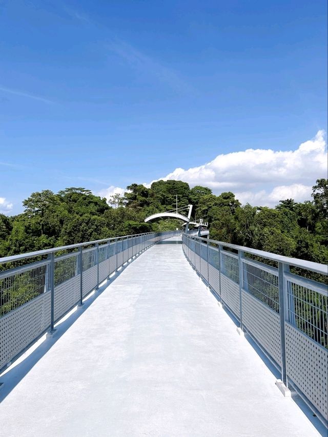 Exploring History and Scenic Views at Fort Silosa Skywalk 