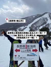 【斑尾高原】長野県と新潟県の県境にあるスキー場⛷