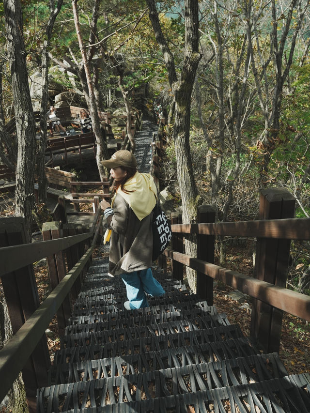 韓國旅行 大邱 八公山漫遊：風景、纜車、美食全攻略