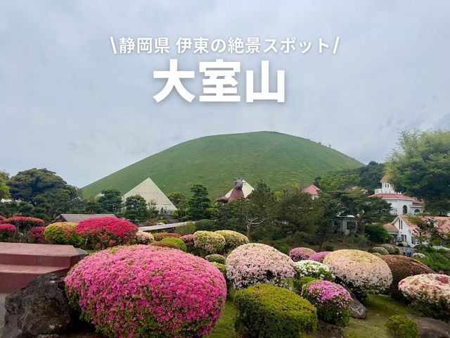 リフトに乗って山頂へ！そこには超絶景が…！