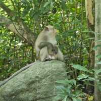 น้ำตกชันตาเถร ชลบุรี
