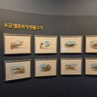 🌍 자연 생태를 배울 수 있는 교육적이고 평온한 공간 화담숲자연생태관🌍