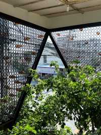 Early คาเฟ่สำหรับคนรักสัตว์และธรรมชาติ ที่สัมมากร