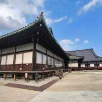京都的歷史與文化遺產的魅力✨ 二條城🏯