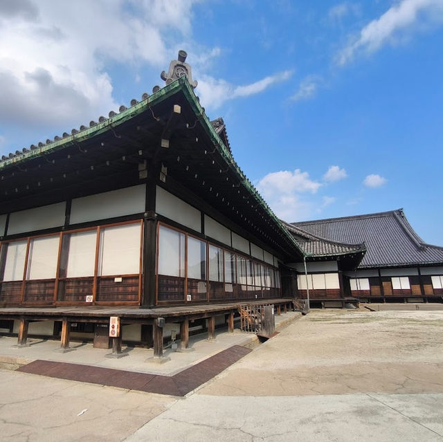 京都的歷史與文化遺產的魅力✨ 二條城🏯