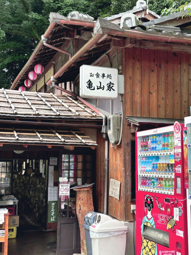 京都嵐山🎋值得你留下時間半日慢遊