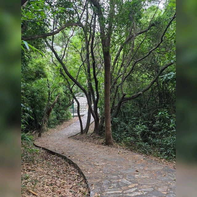 青衣無敵景觀郊遊路線😎