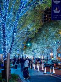 【東京】東京タワーと冬のイルミネーション🗼🩵