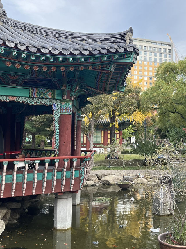 대구 도심 속 단풍 여행을 할 수 있는 경상감영공원 다녀왔어요🍂