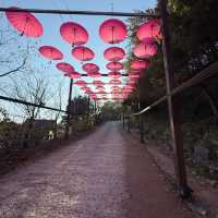 Herb Island: A Serene Escape from Seoul’s Bustle 🇰🇷