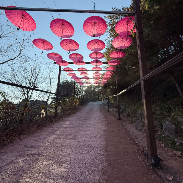Herb Island: A Serene Escape from Seoul’s Bustle 🇰🇷