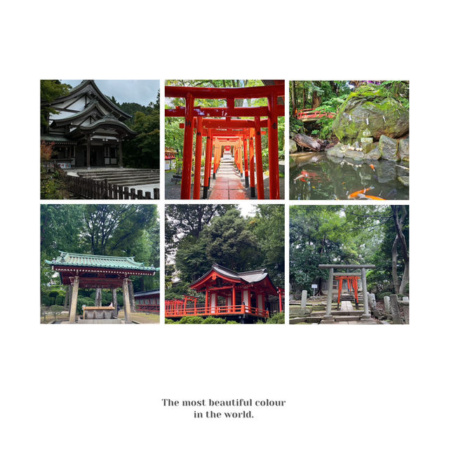 水天宮🐲歷史的韻味！⛩️✨