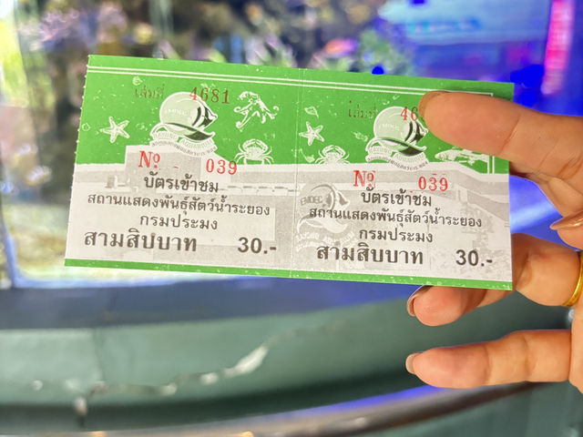 Rayong Aquarium 🐡🐠🪼