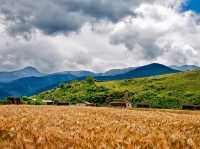 Stunning views at Napahai lake in Shangri-la