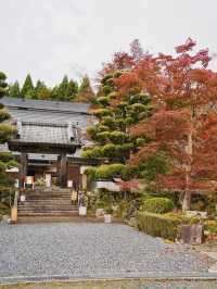 【ここ行って】本当は教えたくない🙅様々な顔が見える紅葉寺院✨※見どころ付き