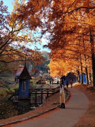 Hidden gem of Tokyo's Autumn season