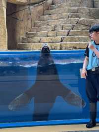 XPark Aquarium ใกล้สนามบินเถาหยวน ไต้หวัน