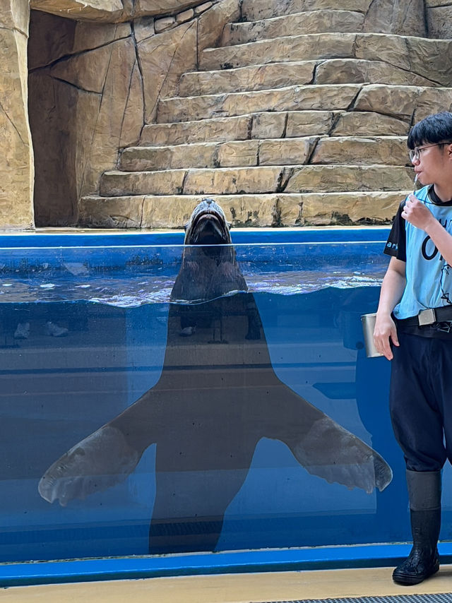 XPark Aquarium ใกล้สนามบินเถาหยวน ไต้หวัน