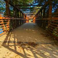 LADY BIRD LAKE HIKE AND BIKE TRAIL.