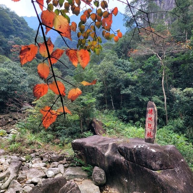 용기원, 숨겨진 관광지!