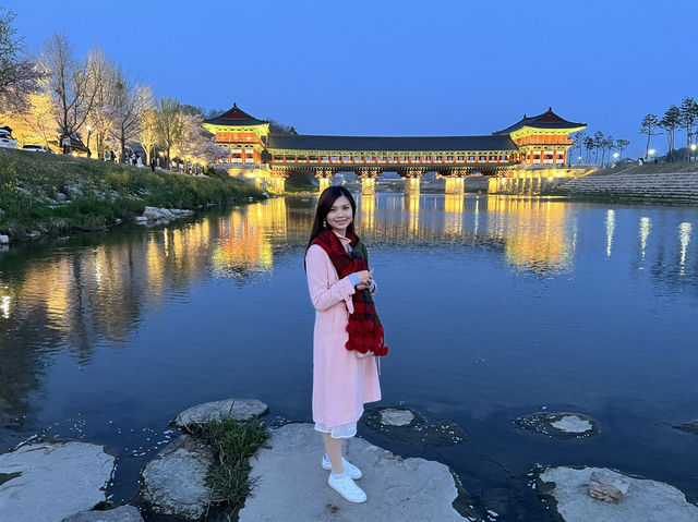 Springtime Magic: Sakura Nights at Woljeonggyo Bridge