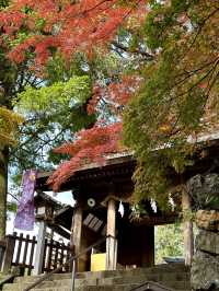 【栃木×佐野】 るろうに剣心のロケ地としても有名  紅葉 猫にも出逢える神社
