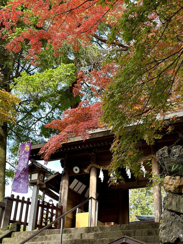 【栃木×佐野】 るろうに剣心のロケ地としても有名  紅葉 猫にも出逢える神社