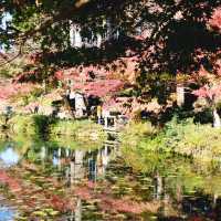  Monet's pond