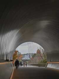 【滋賀】季節を感じる美術館！MIHO MUSEUM