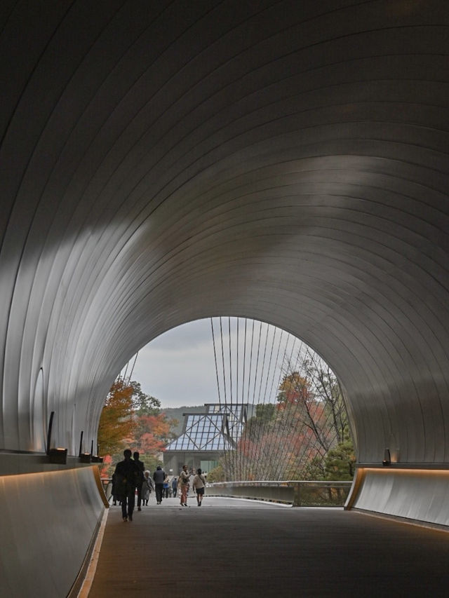 【滋賀】季節を感じる美術館！MIHO MUSEUM