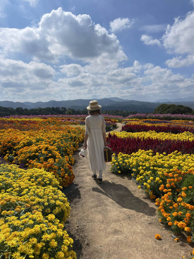 広島観光🥰美しいお花のパッチワークが素敵🥹🌸💐🫶