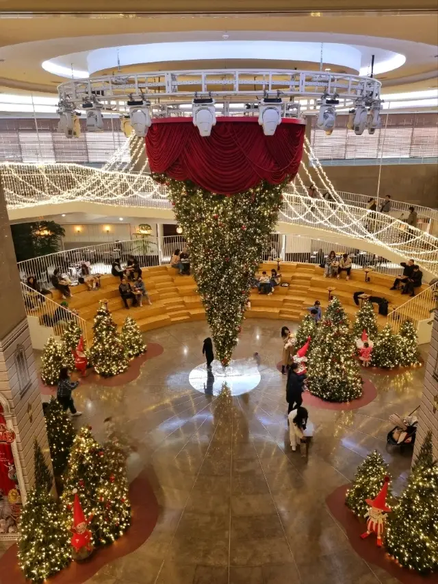 A cafe with a giant indoor tree.