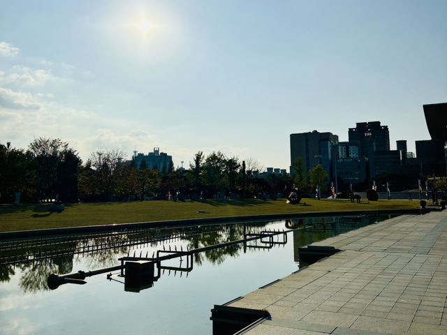 대전의 감각적인 정원