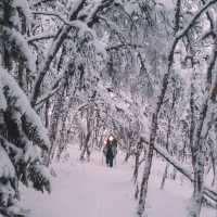 Åre Duved: A Hidden Gem in Sweden’s Winter Wonderland